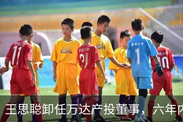 王思聪卸任万达产投董事，六年内已三度退出“万达系”决策层