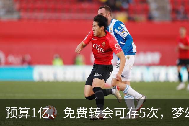 预算1亿、免费转会可存5次，梦幻英超新赛季首轮8月21日截止