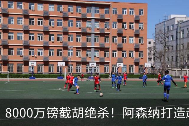 8000万镑截胡绝杀！阿森纳打造超级中场双核，争冠短板彻底补齐？